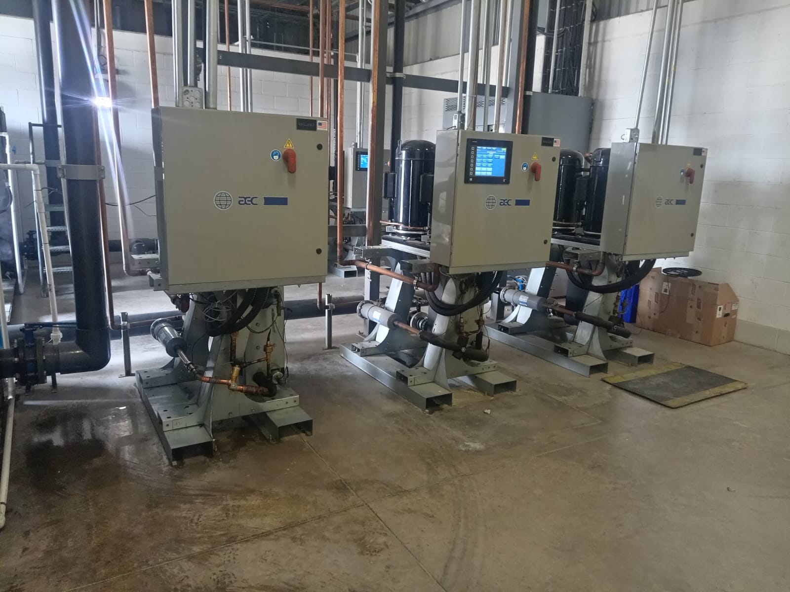 WhatsApp Image 2025-01-04 at 10.19.24